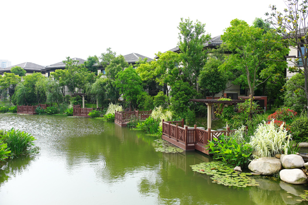 中科大學村六十四階濱水親水平臺